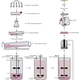 Illustration for article titled Breakthrough: Synthetic Meat Made From Stem Cells